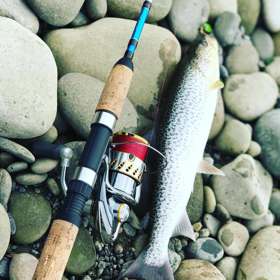 IMG_4411.JPG