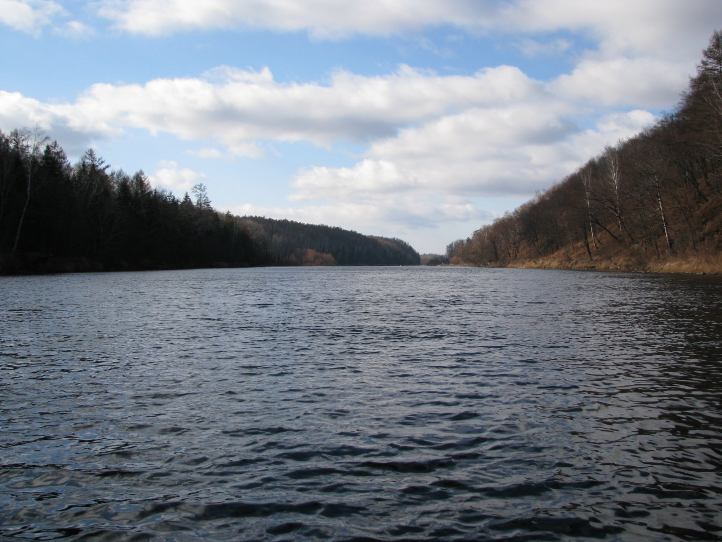 IMG_4443.jpg