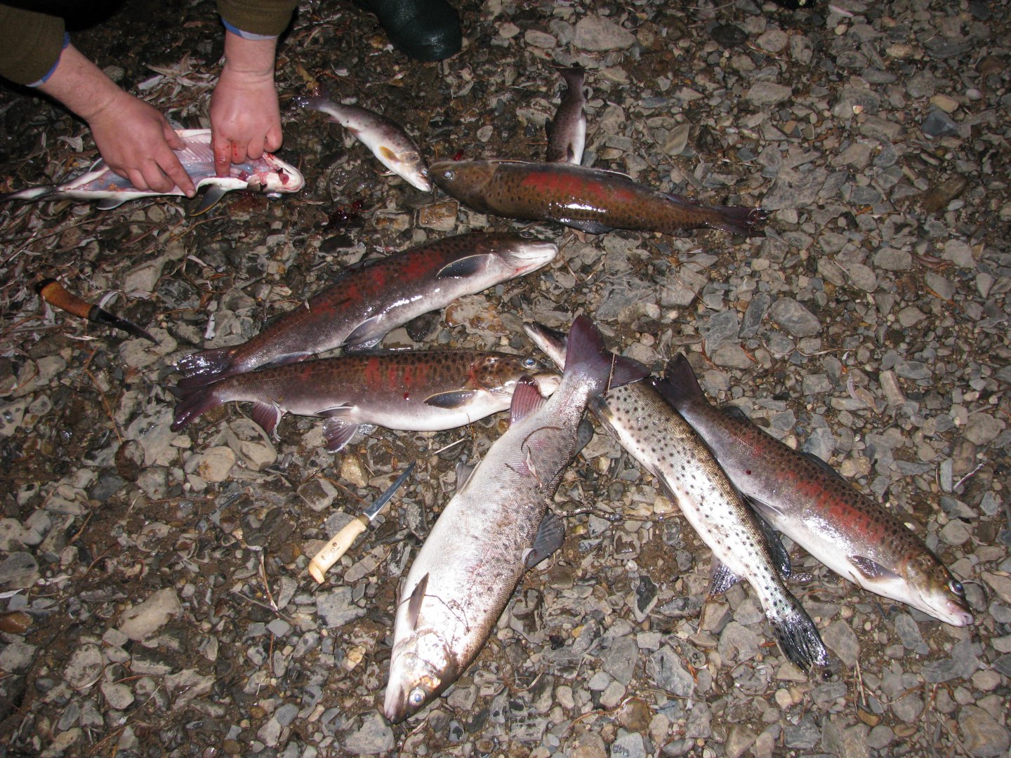IMG_4570.jpg