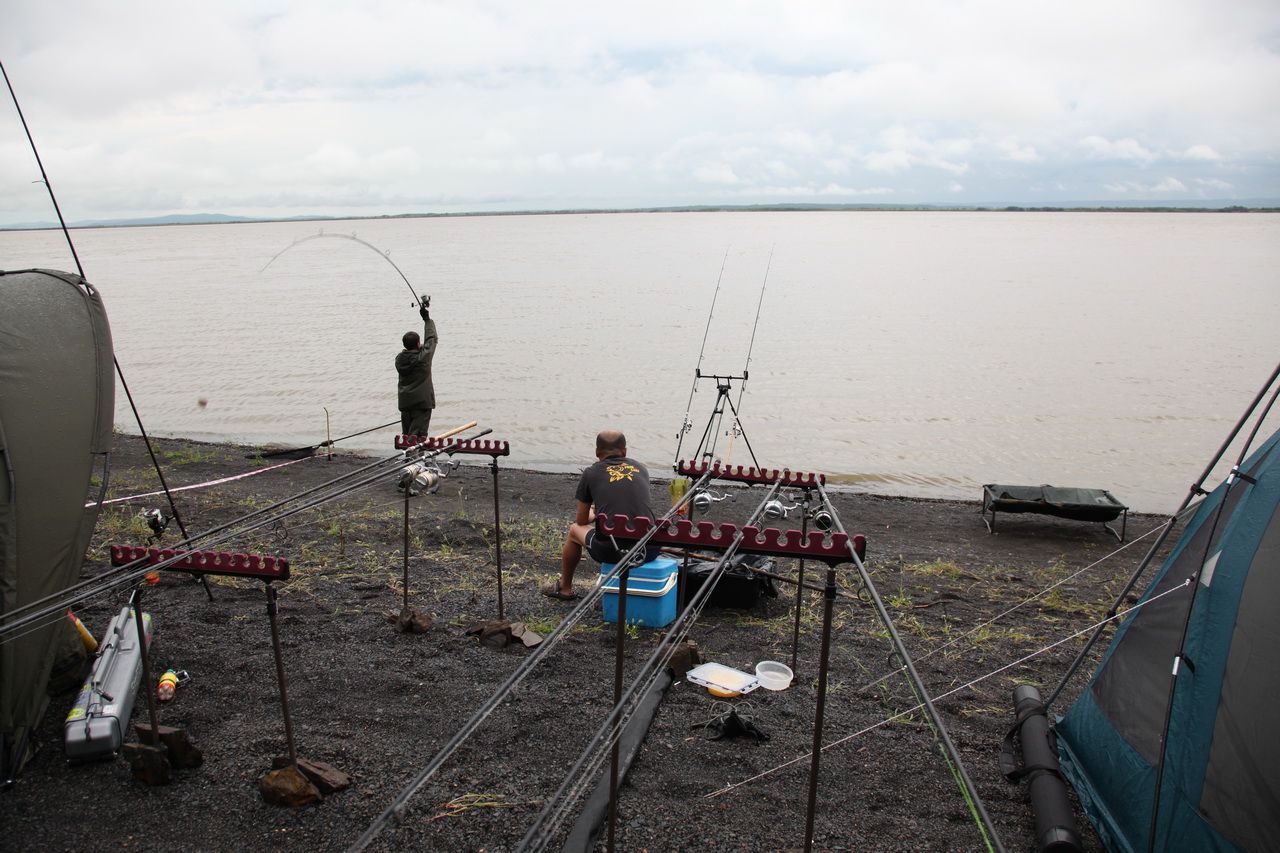 IMG_4598_новый размер.JPG