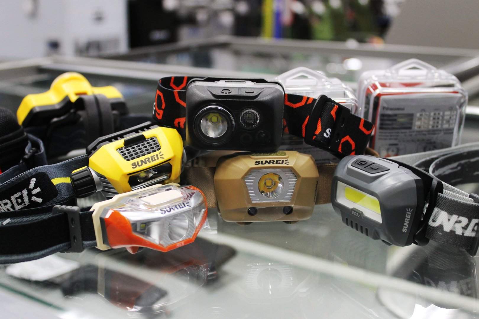 IMG_4615-min.jpg