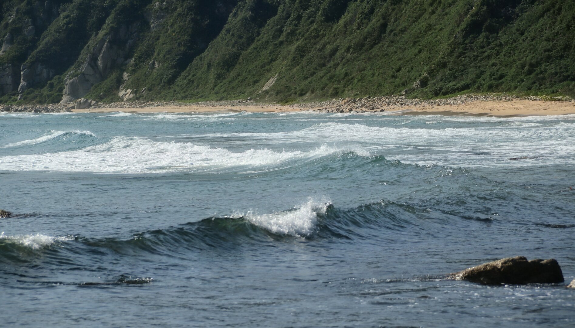 IMG_4761~4.JPG