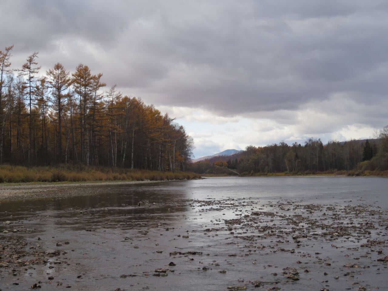 IMG_4809-11-10-17-16-53.JPG