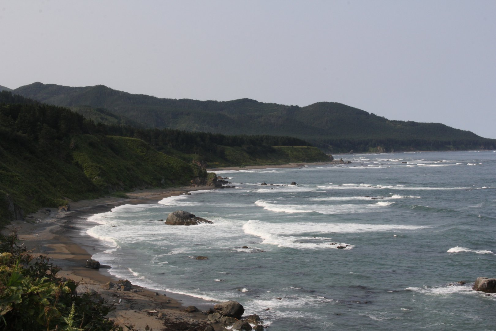 IMG_6014.JPG