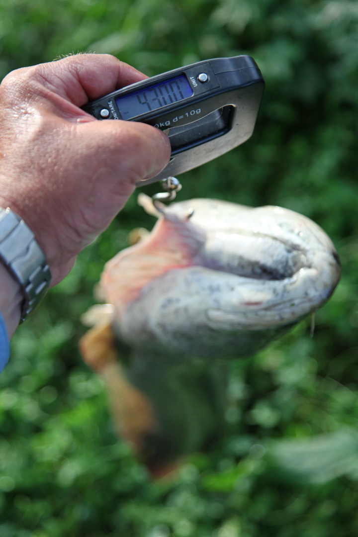 IMG_6174.JPG