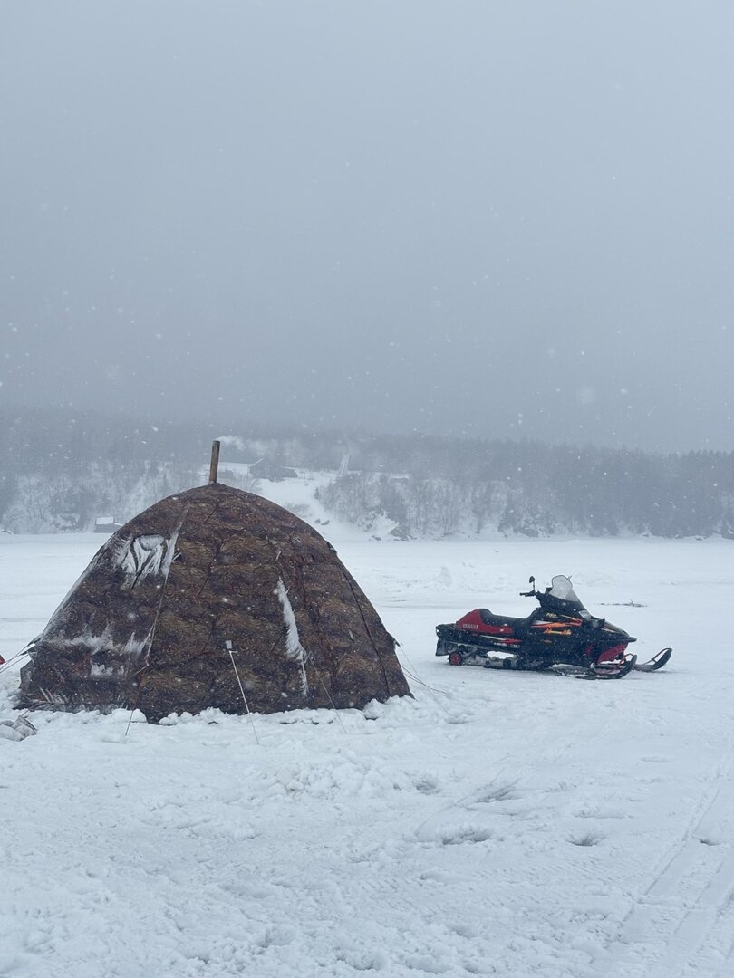 IMG_6405 (Крупный).jpeg