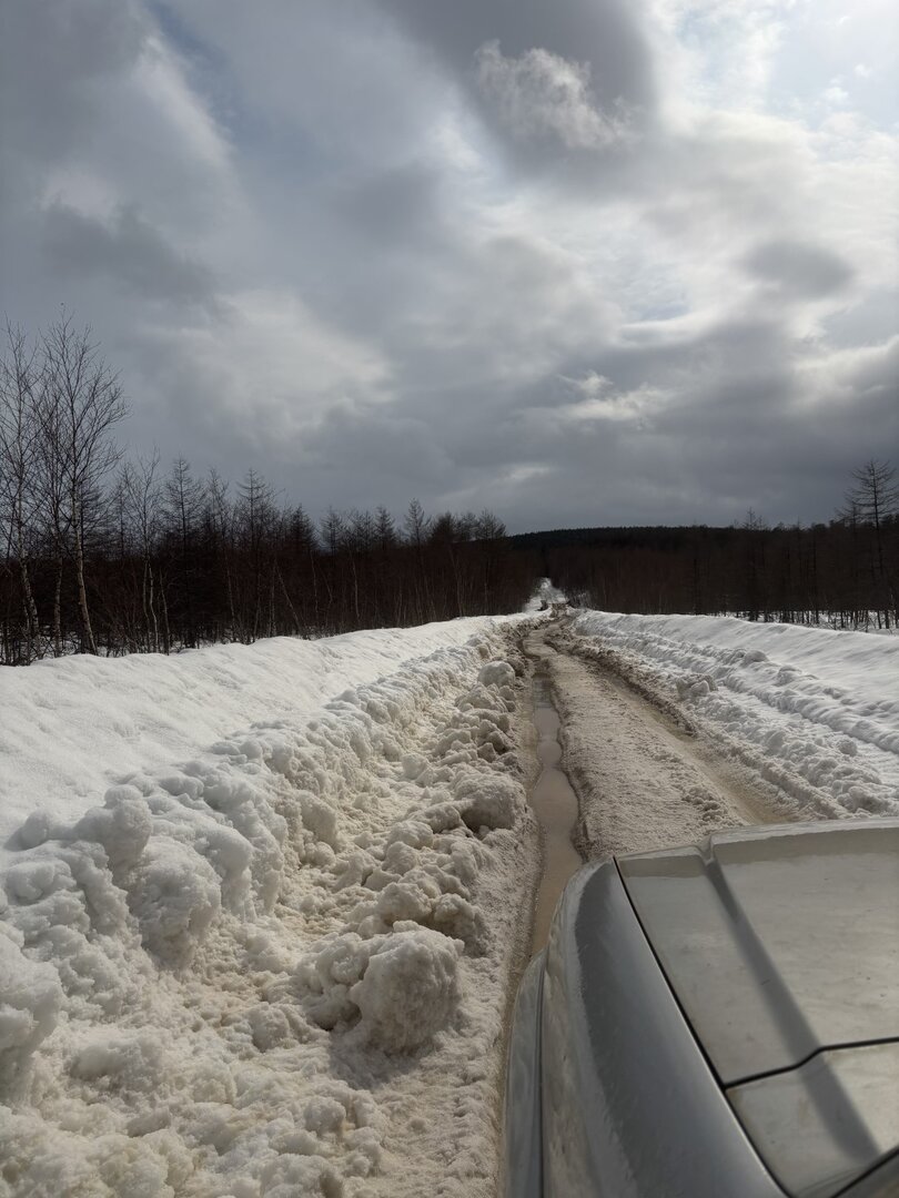 IMG_6463 (Крупный).jpeg