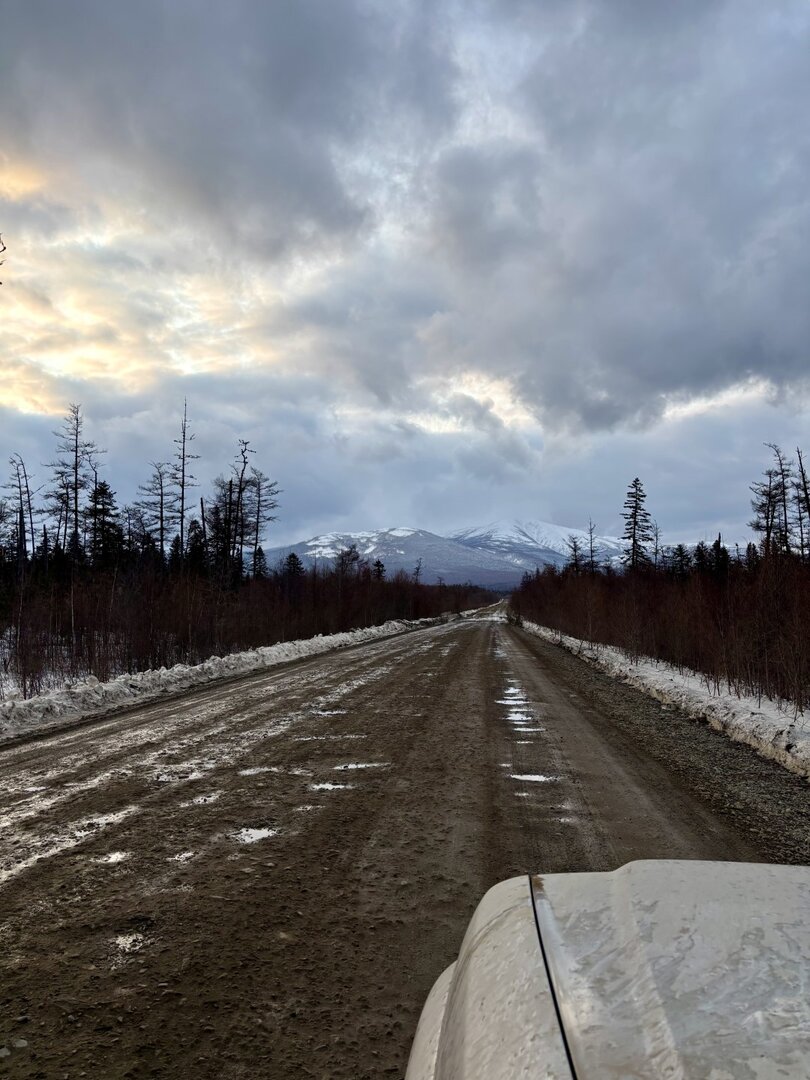 IMG_6469 (Крупный).jpeg