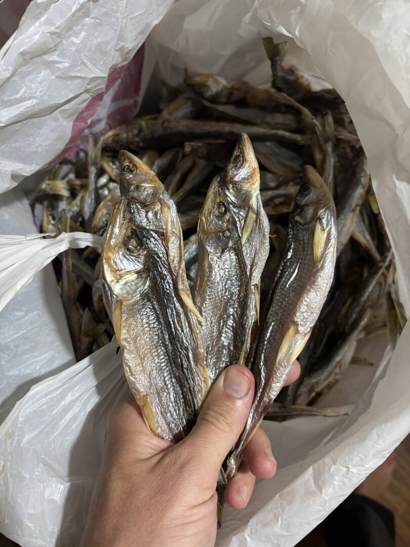 IMG_6476 (Крупный).jpeg