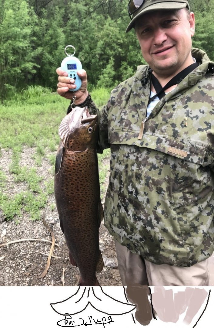 IMG_6633.JPG