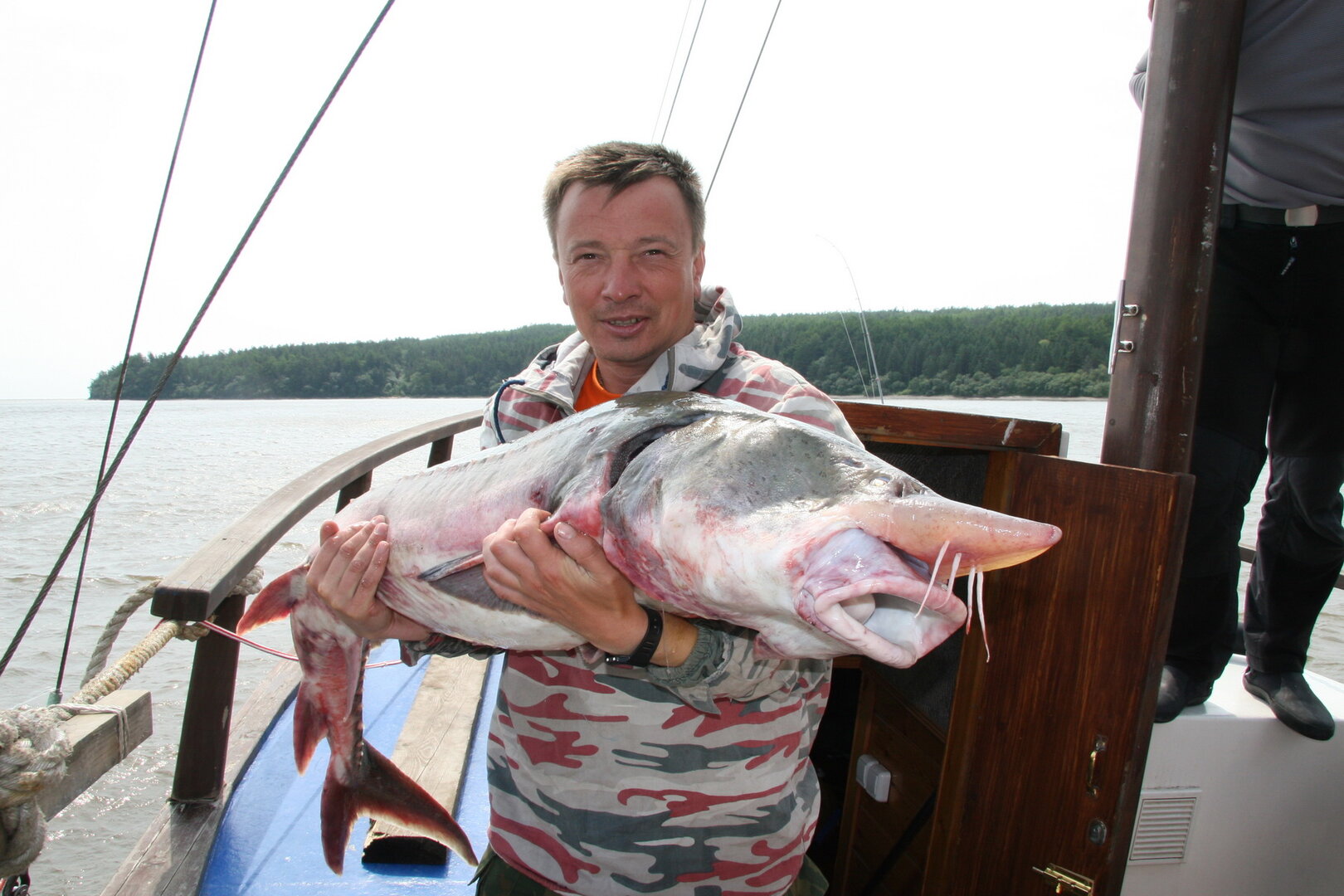 IMG_7107_новый размер.JPG