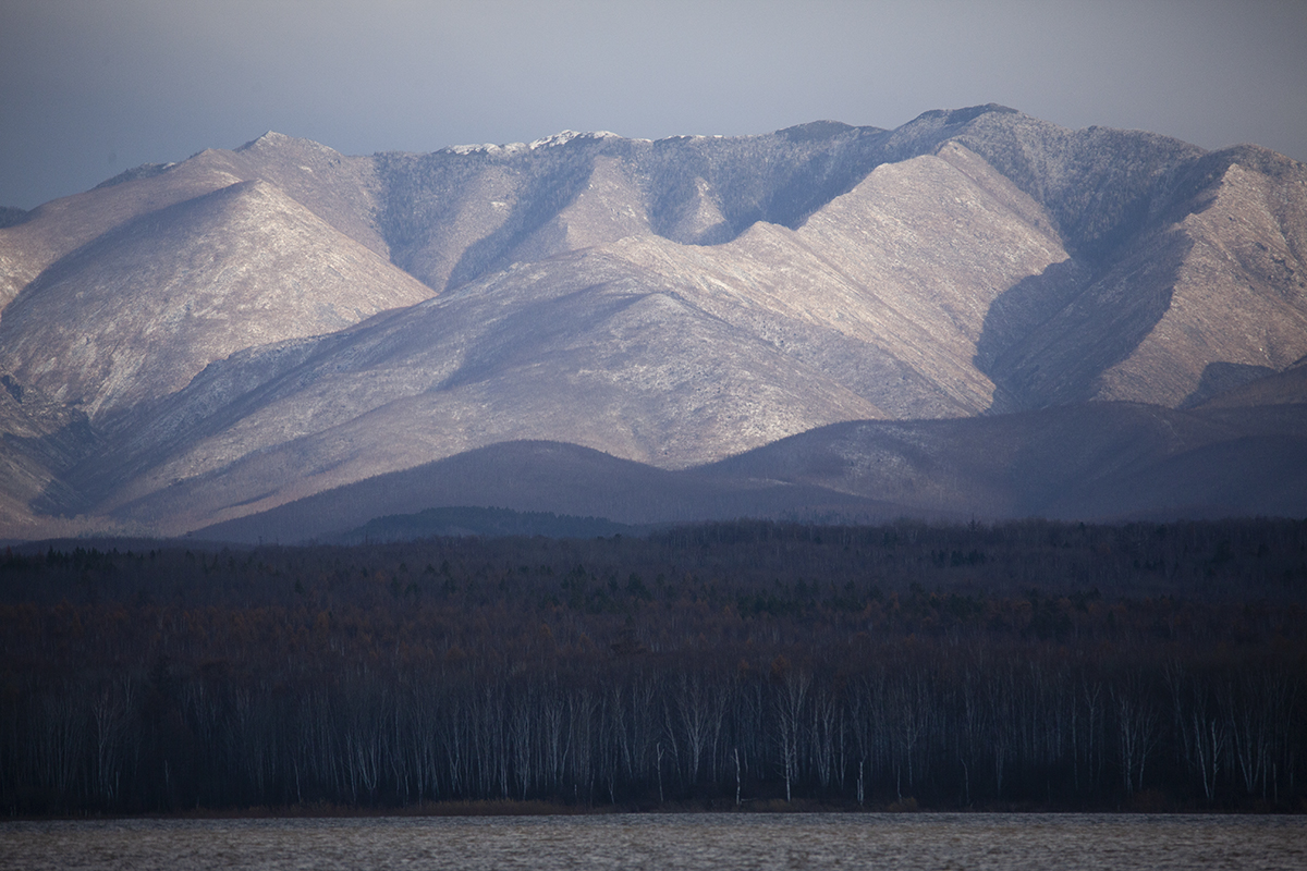 IMG_7451.jpg