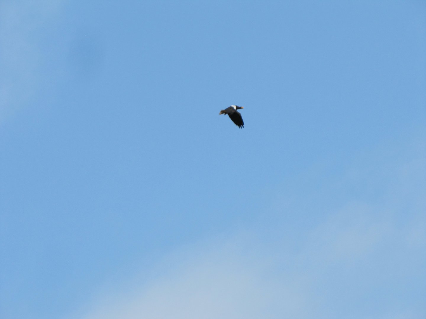 IMG_7669.JPG