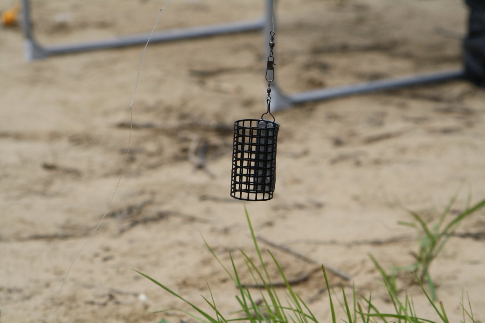 IMG_8044.JPG