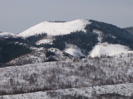 IMG_8093.JPG