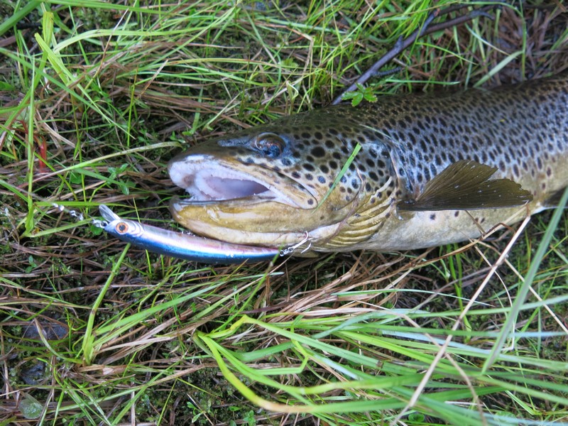 IMG_8104.JPG
