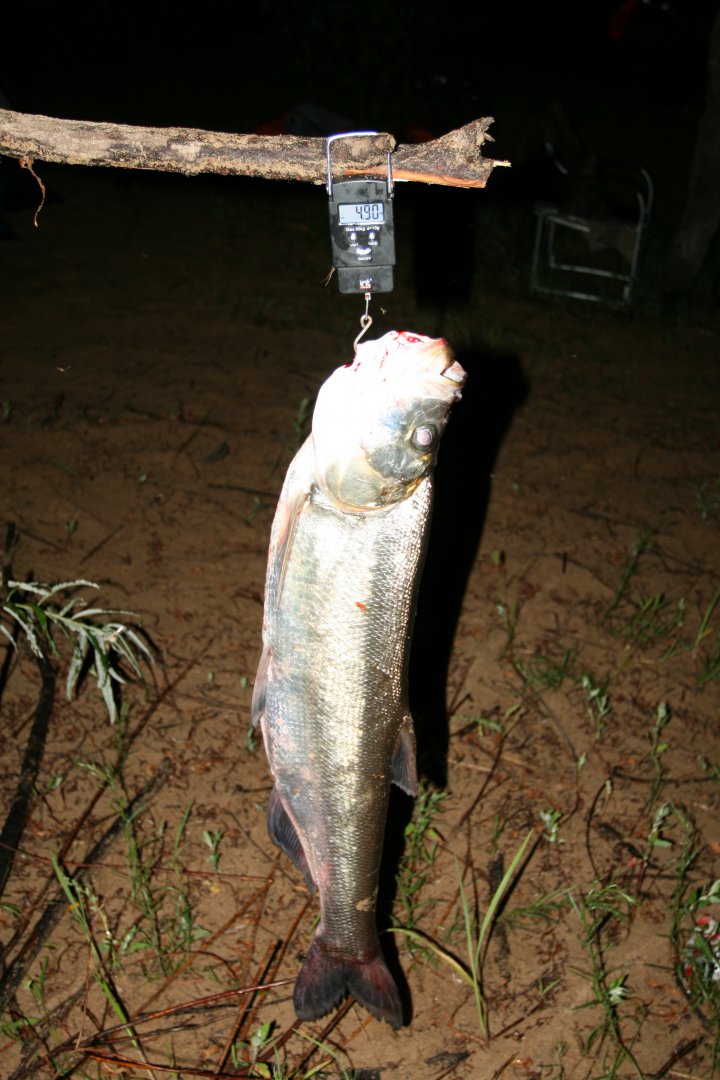 IMG_8113.jpg