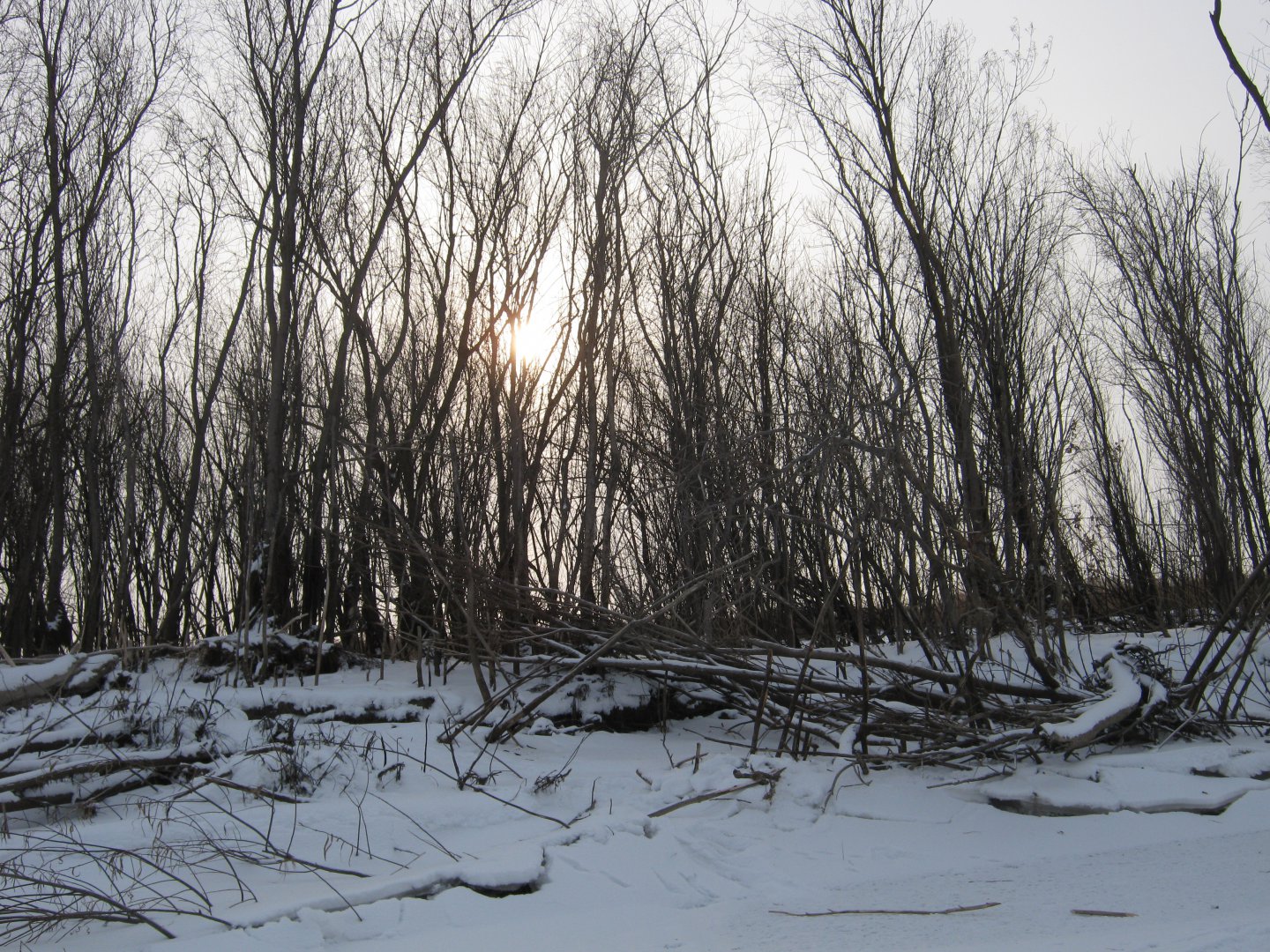 IMG_8122.JPG