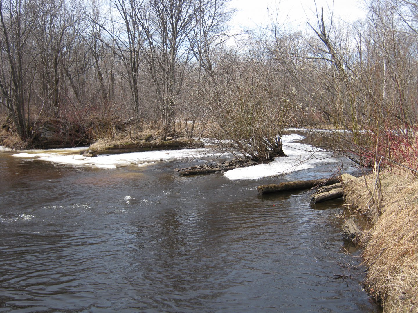IMG_8223.JPG