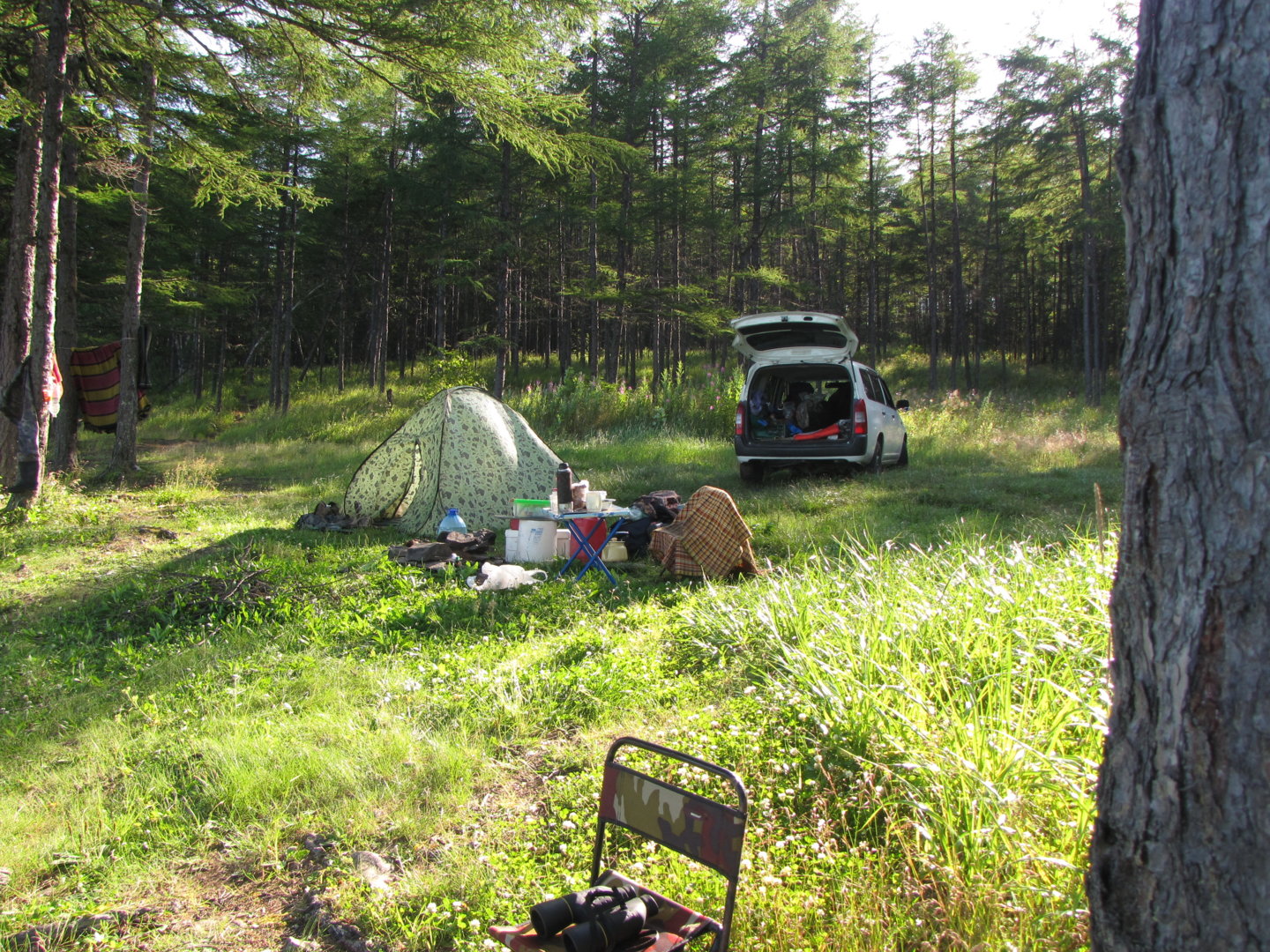 IMG_8259.JPG