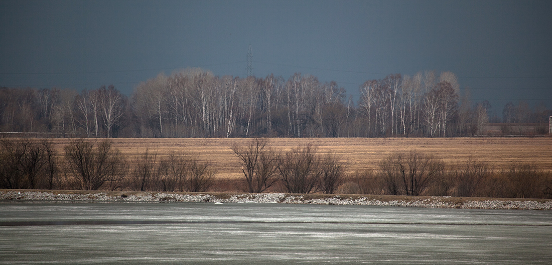 IMG_8361_1100.jpg