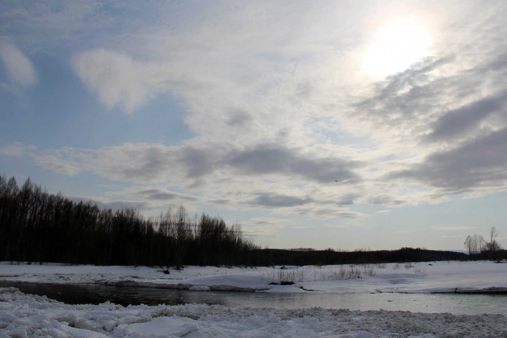 IMG_8380.JPG
