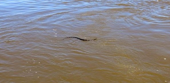 IMG_8556.JPG