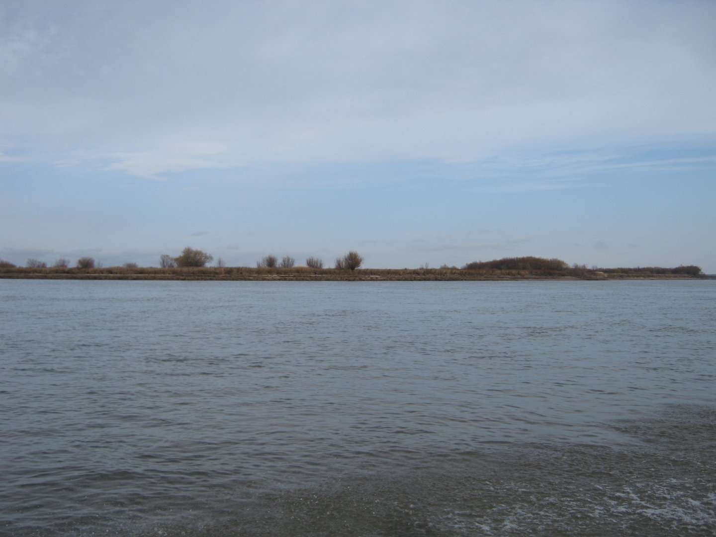 IMG_8574.JPG
