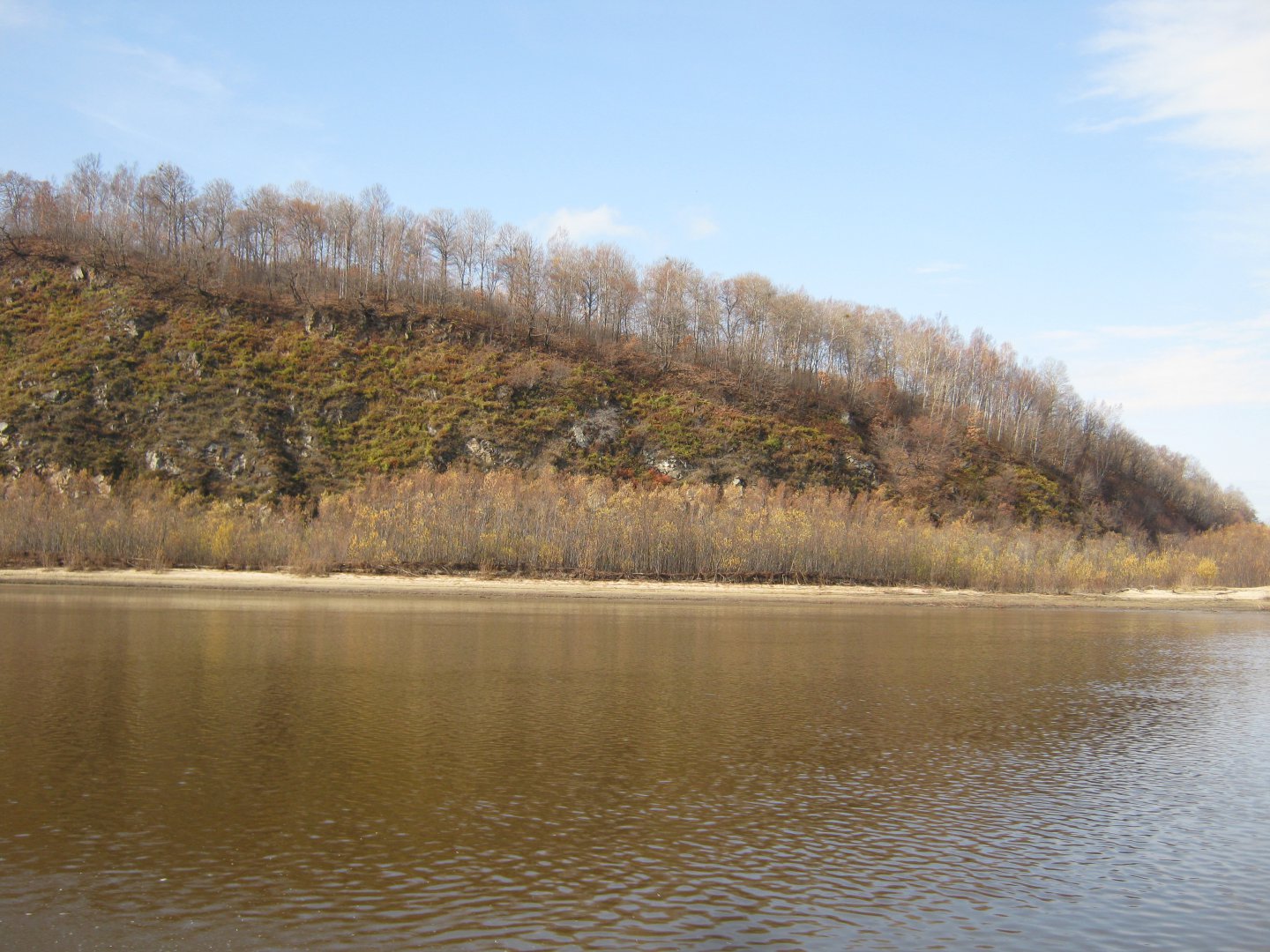 IMG_8576.JPG