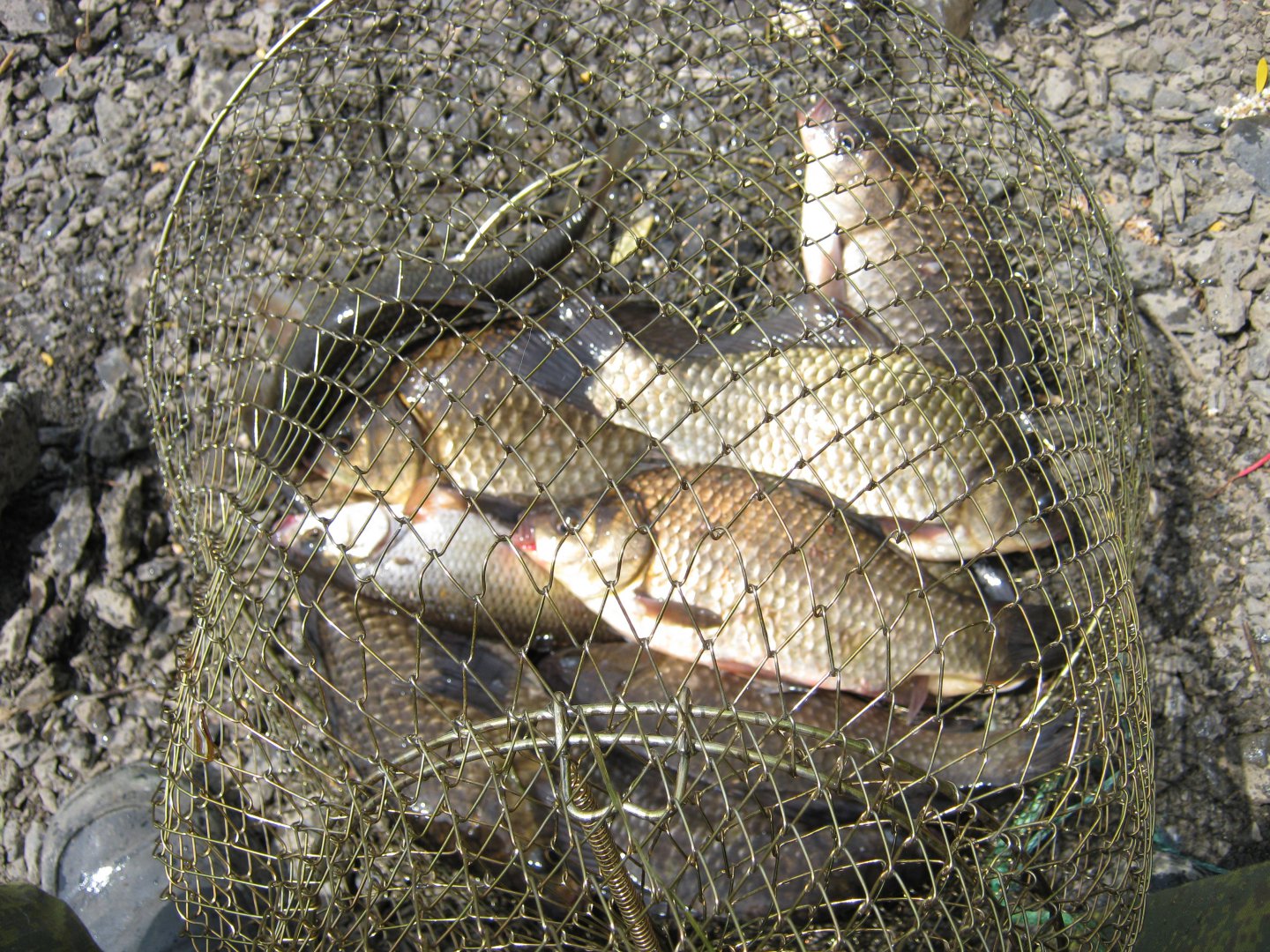IMG_8700.JPG