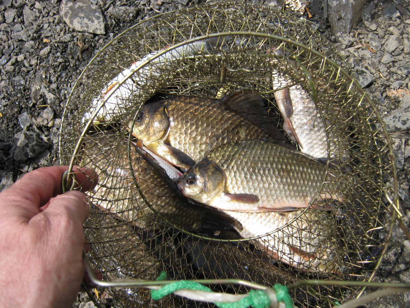 IMG_8701.JPG