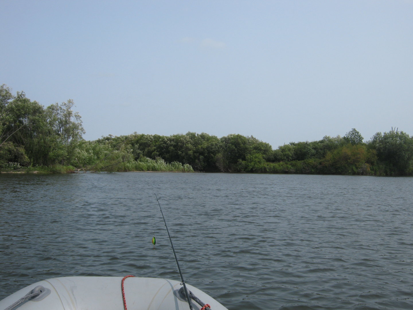 IMG_9270.JPG