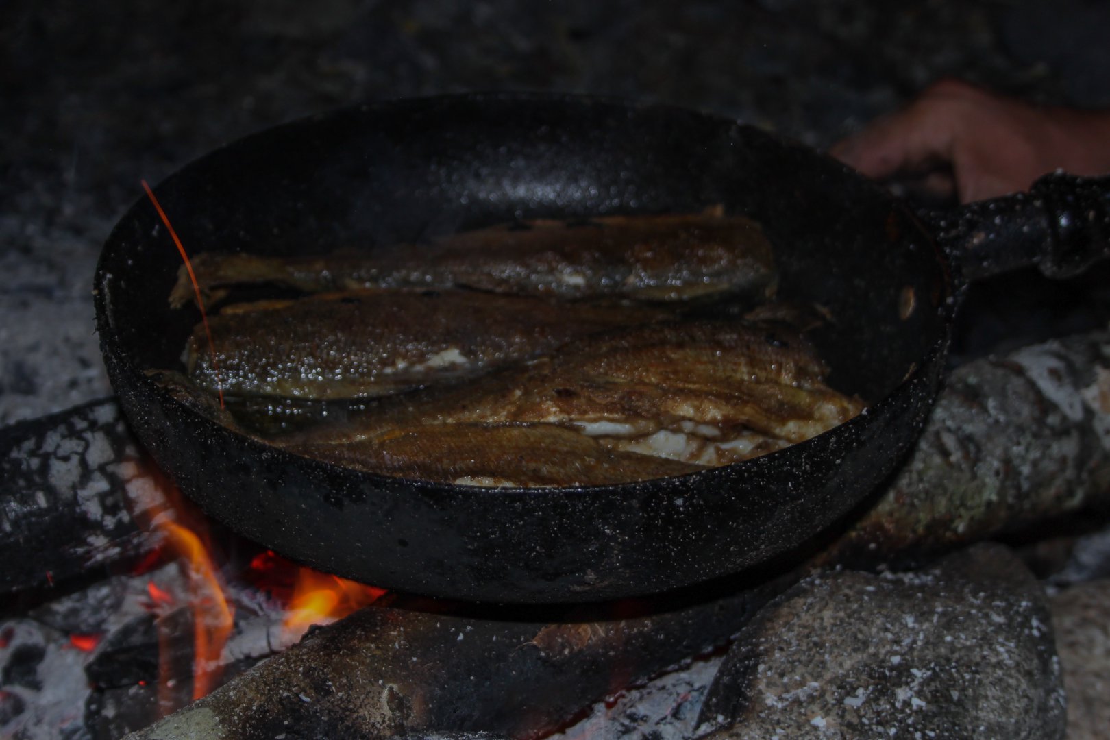 IMG_9300.jpg