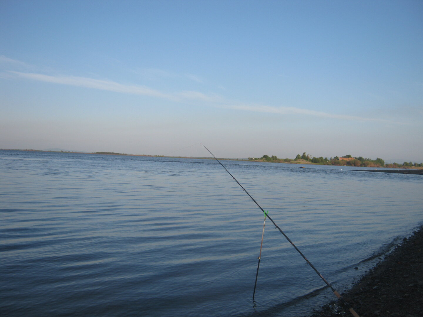 IMG_9507.JPG