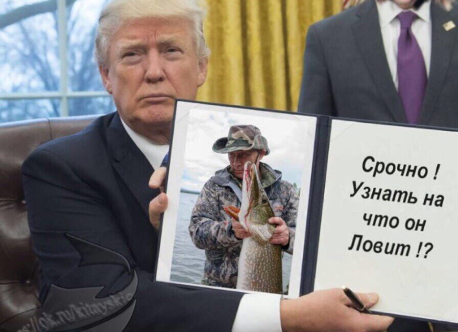 imяage.jpg