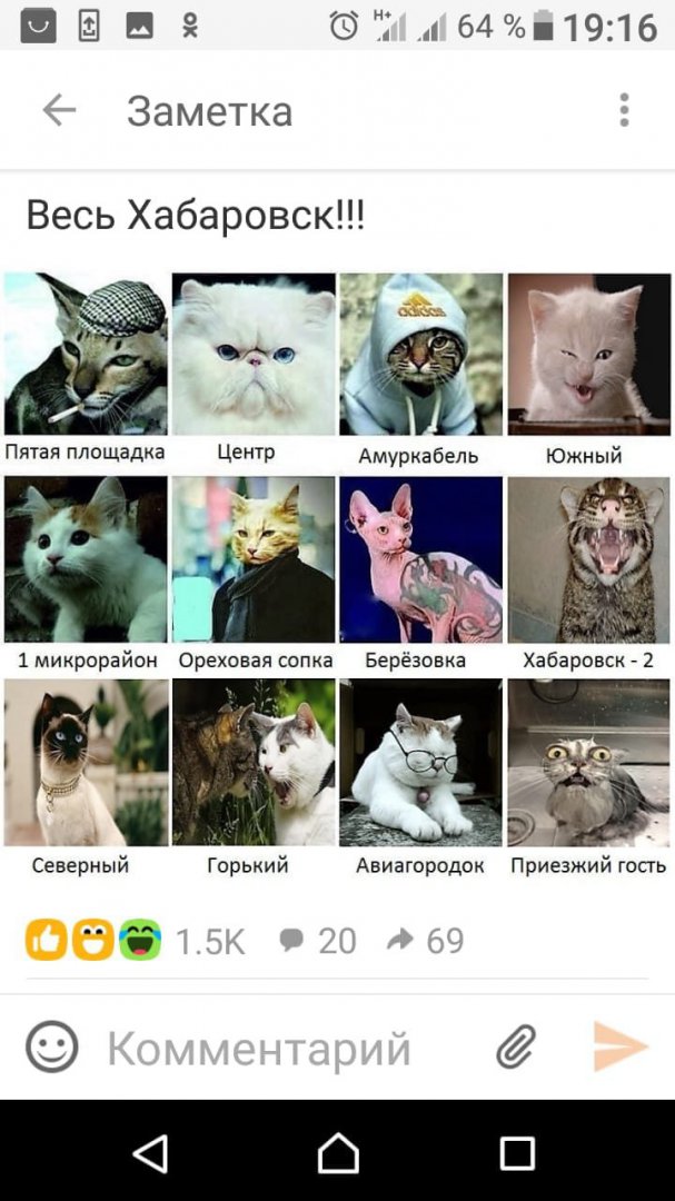 imпage.jpg