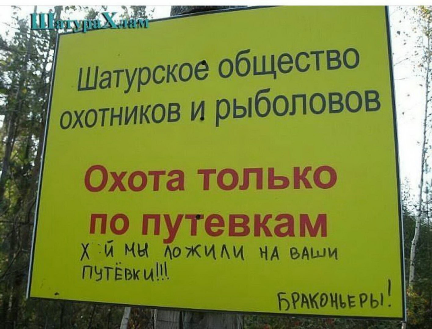 imпапage.jpg