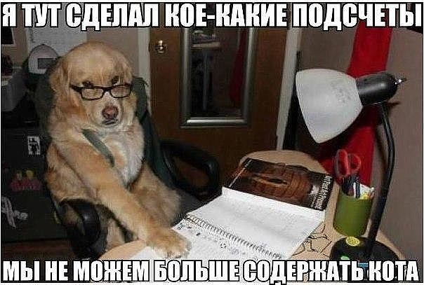 imтage.jpg