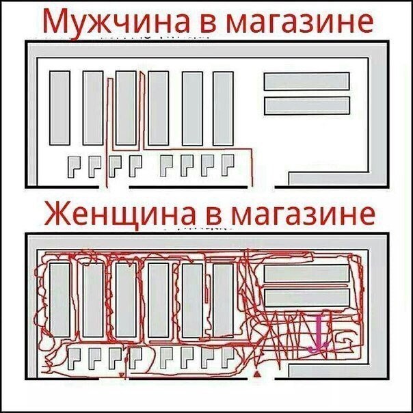 imуage.jpg