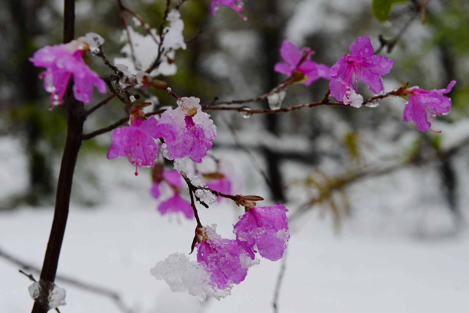 Инь и Янь-2.JPG