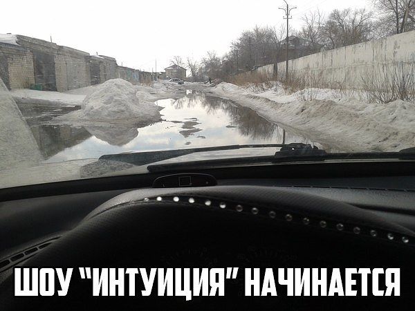 интуиция.jpg