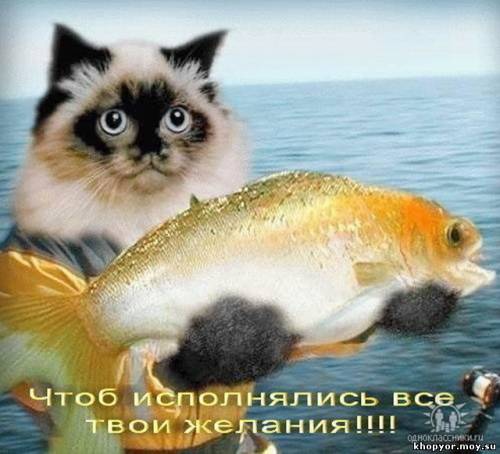 исполнялись.jpg