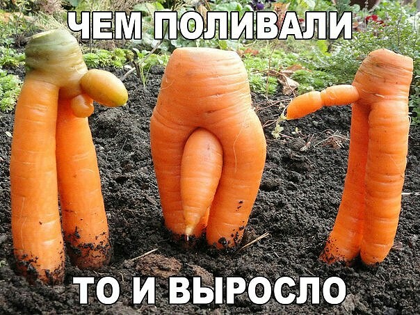 iуmage.jpg