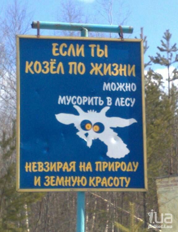 iваmage.jpg