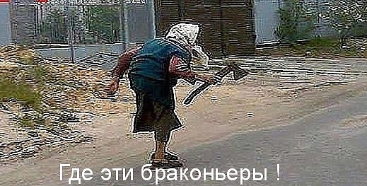 iввmage.jpg
