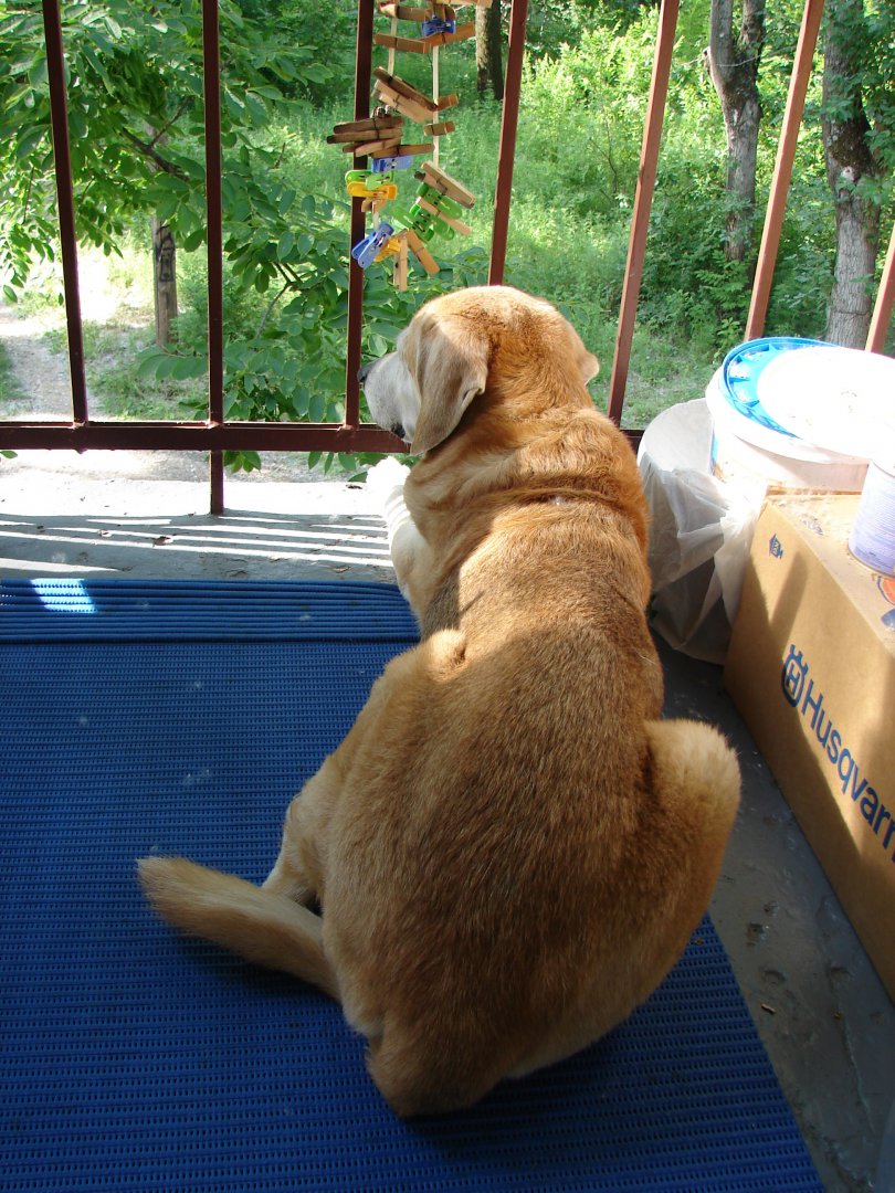 Изображение 008.jpg