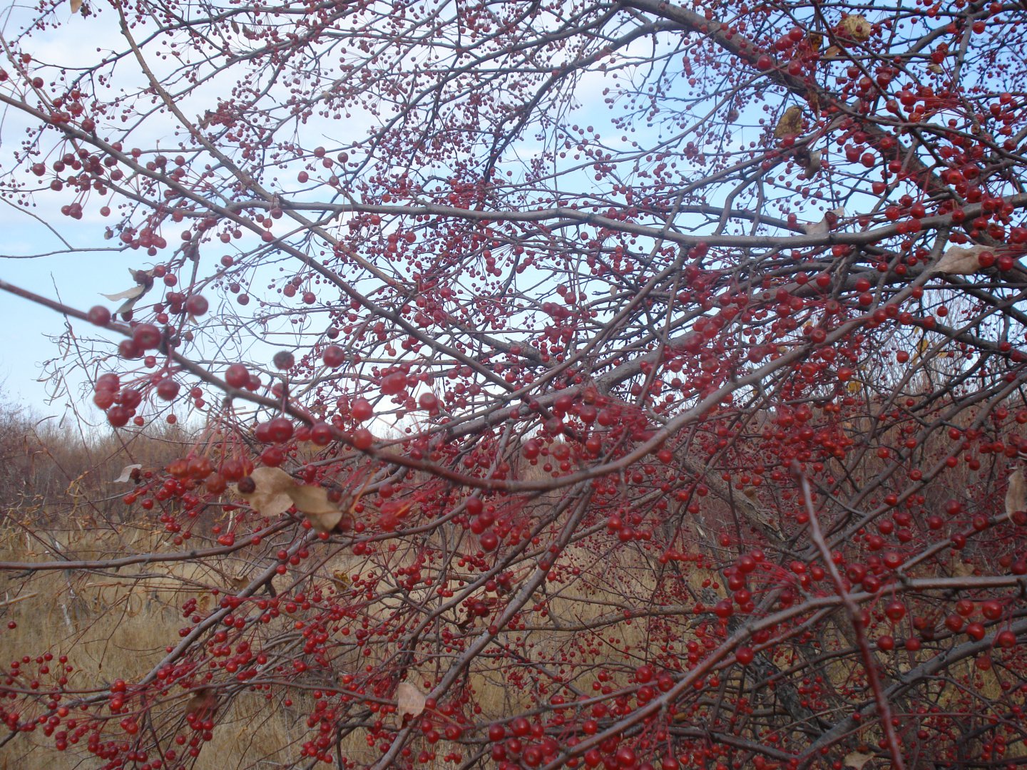 Изображение 010.jpg