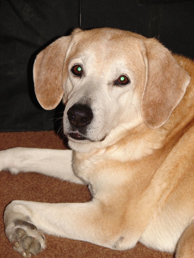 Изображение 025.jpg