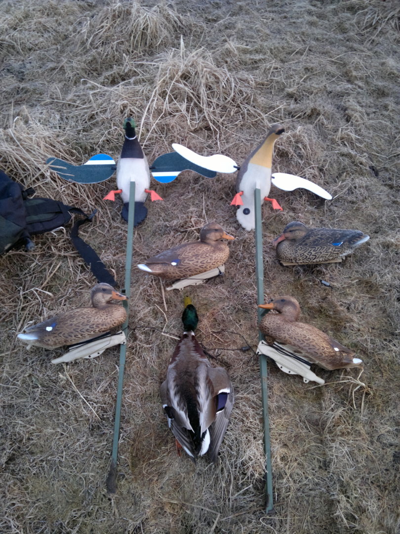 Изображение 039.jpg