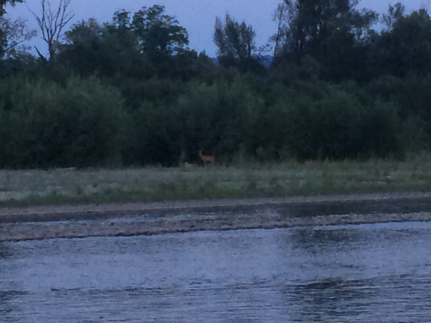 Изображение 115.jpg